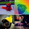 Download track Urbane Moods For Training Dogs