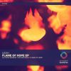 Download track Flame Of Hope