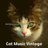 Download track Brilliant Jazz Guitar Trio - Vibe For Cats