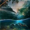 Download track Soothing Coral Reef Underwater Soundscape, Pt. 1