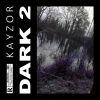 Download track Dark 2