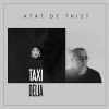 Download track Atat De Trist (Delia)