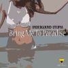 Download track Bring Me To Paradise (Original Mix)