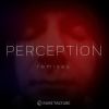 Download track Perception (People Theatre Cave Remix)