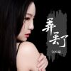 Download track 弄丢了 (伴奏)