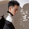 Download track 我这一生太失败