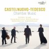 Download track Trio In G Minor No. 2, Op. 70: I. Schietto E Deciso