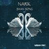 Download track Swan Song (Original Mix)