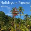 Download track Holidays In Panama (Tech House)