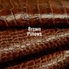 Download track Nights On The Brown Planet Noise