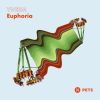 Download track Euphoria