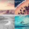 Download track Modern Moods For Beaches