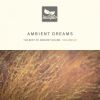 Download track Untitled Dream