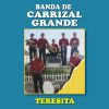 Download track Teresita (Remasterizado 2024)