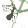 Download track Love Me I'm A Liberal (Piano Version)