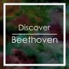 Download track Violin Sonata In A Major, UnV 11 (Hess46) (Fragment)
