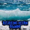 Download track Underwater Sound