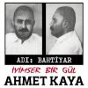 Download track Iyimser Bir Gul