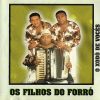 Download track Fogo Da Paixão