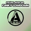 Download track Funky Lowdown (Original Mix)