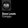 Download track Canggu (Extended Mix)