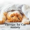 Download track Relaxing Music For Cats
