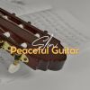 Download track Emotional Acoustic Guitar