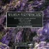 Download track Sibelius Concerto For Violin And Orchestra Op. 47 (Vln. Georg Kulenkampff) III. Allegro Manon Tanto