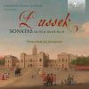 Download track Piano Sonata In C Minor, Op. 35 No. 3 Craw 151: I. Allegro Agitato Assai'