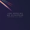 Download track We Disappear