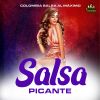 Download track El Panuchito De Olga