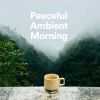 Download track Peaceful Ambient Morning, Pt. 4