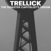 Download track The Disaster Capitalist's Dream (Remoaner Mix)