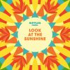 Download track Royal Blue Summer Sunshine Day