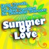 Download track Summer Of Love (De Vox Big Room Mix)