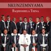 Download track Ingwe Nengonyama