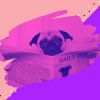 Download track Dream Like Backdrops For Doggy Stress