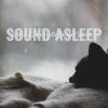 Download track Relaxing Snooze With Rainfall Sounds, Pt. 15