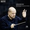 Download track Symphony NO. 1 C-Moll Allegro