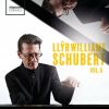 Download track Sonata In B Major, Op. Post. 147, D. 575: III. Scherzo-Allegretto