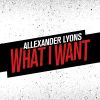 Download track What I Want