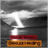 Download track Sexual Healing (Radio Edit)