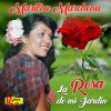 Download track Pajarillo Venezolano