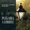 Download track Plegaria A Loroye