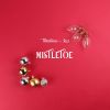 Download track Kiss Beneath The Mistletoe