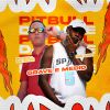 Download track Amor Da Sua Vida E 244