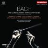 Download track Suite No. 6 For Full Orchestra (Wood) - 3. Scherzo