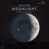 Download track Moonlight (Original Stick)