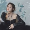 Download track 当梅爱上雪 (粤语版伴奏)