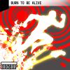 Download track Burn To Be Alive